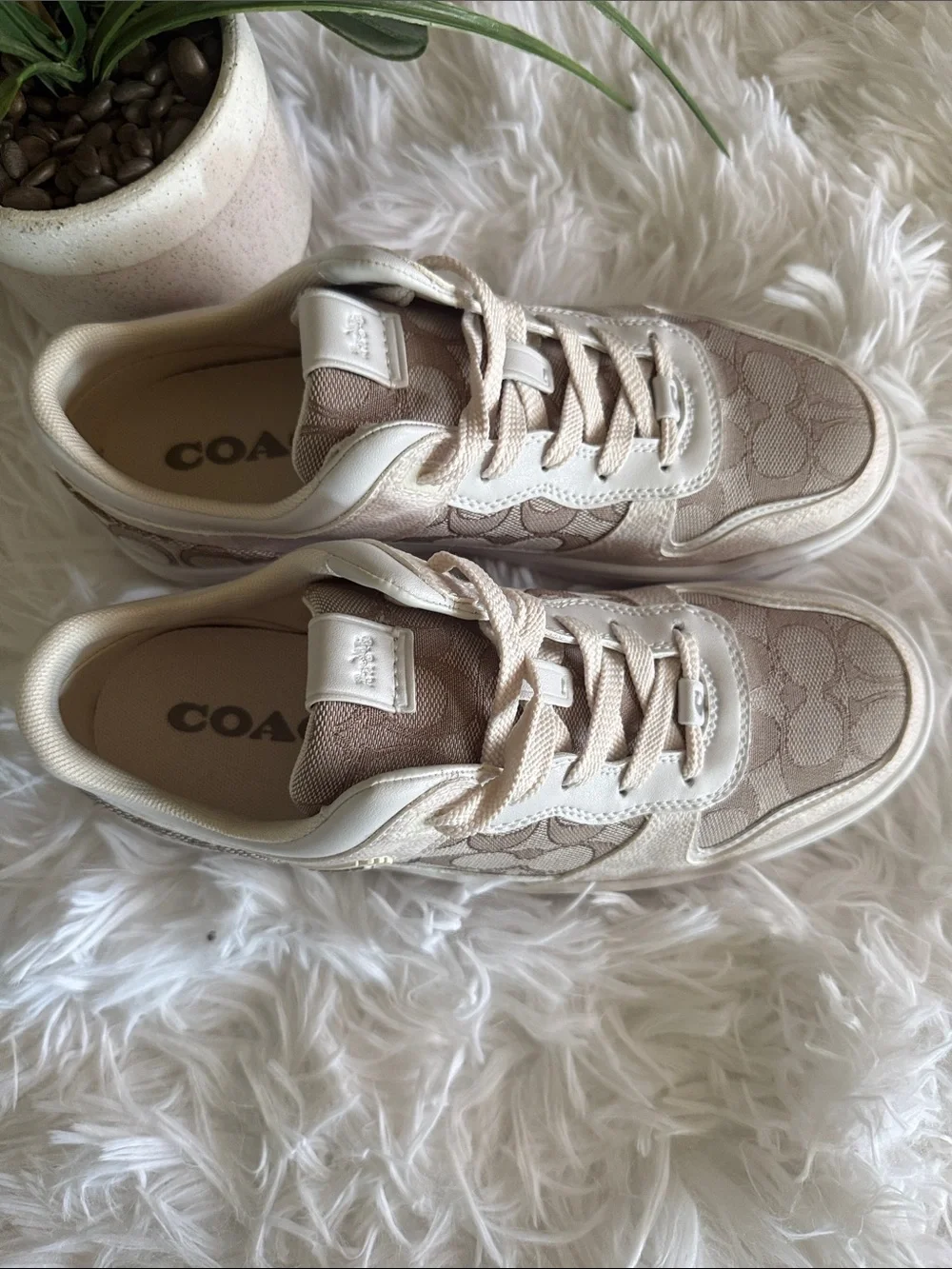 Coach Kids Logo-Print Sneakers in Beige and Cream